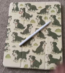 FREE CUSTOM IPAD CASE