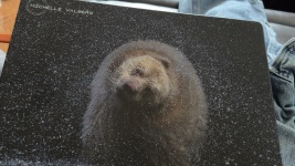 FREE CUSTOM CASE FOR MACBOOK