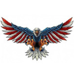 FREE CUSTOM CASE FOR MACBOOK